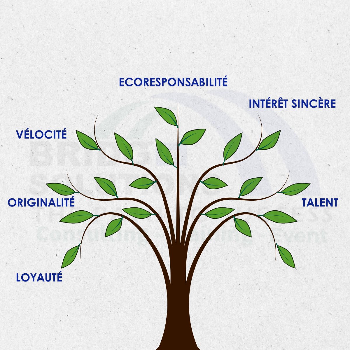 Valeurs BRIDG'IN SOLUTIONS